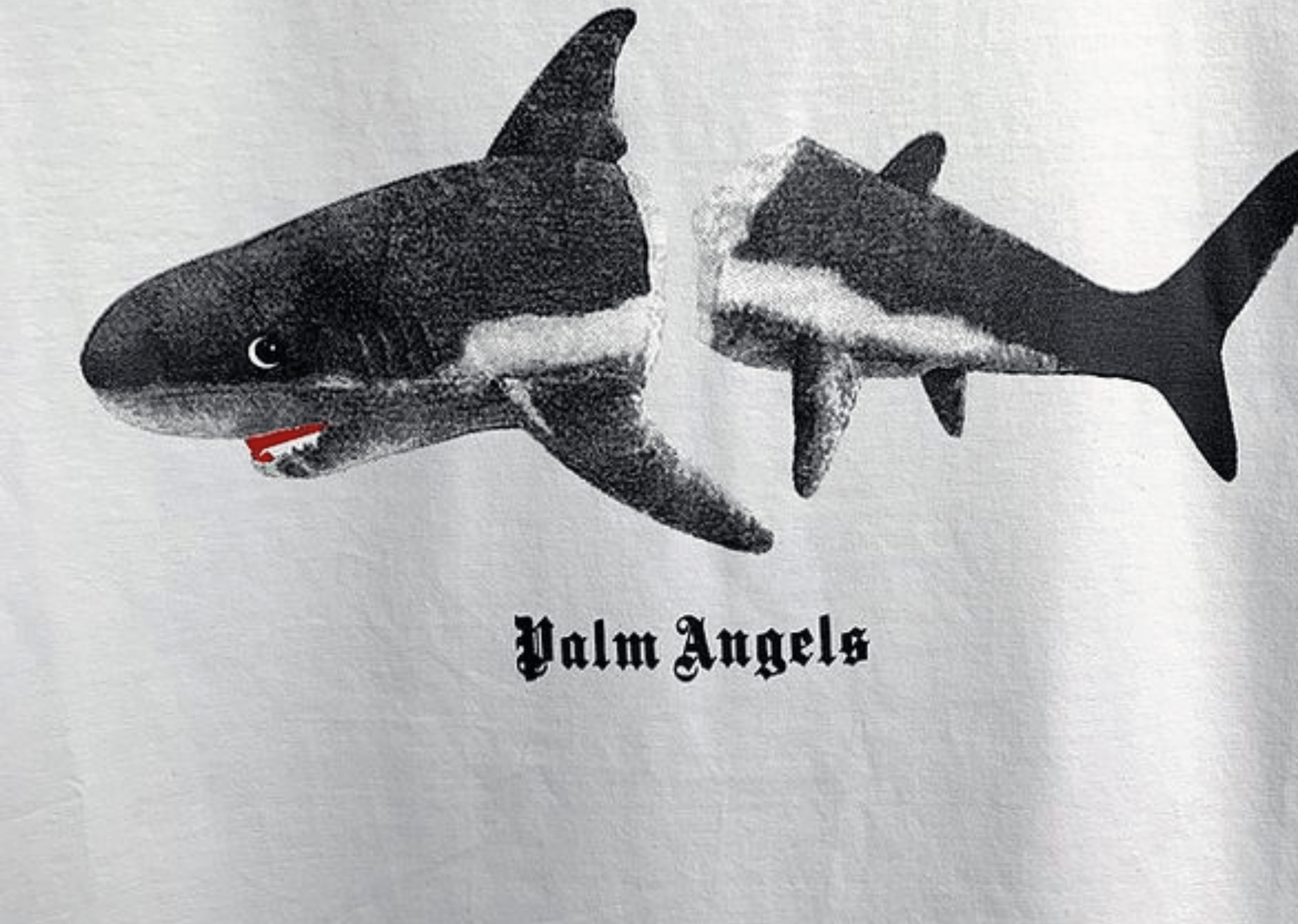 Up to 90 off - Palm Angels Clothing Palm Angels - Printed Logo 'Shark' White T-Shirt