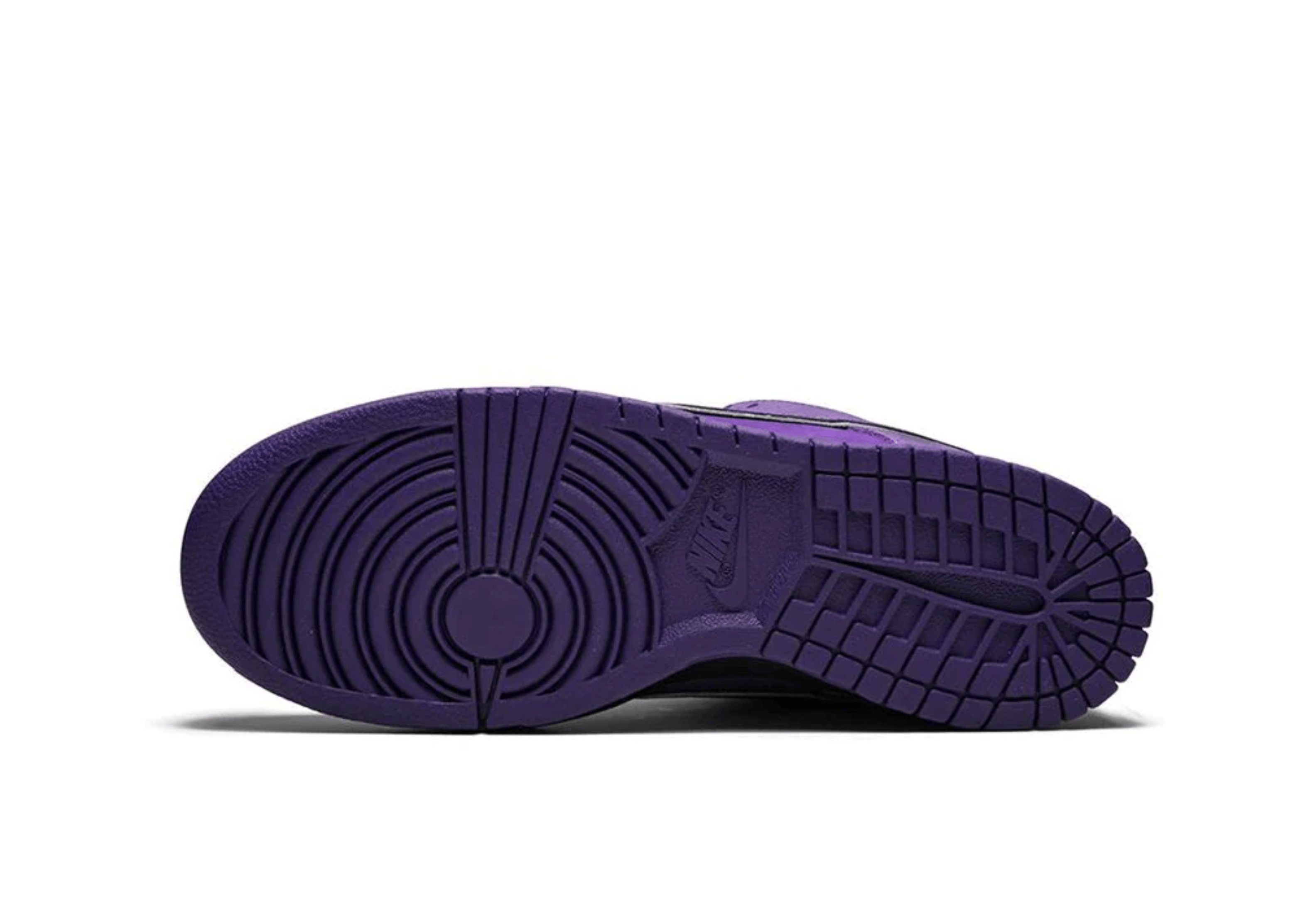 Up to 90 off - Nike Sneakers Nike Dunk Sb Low Concepts Purple Lobster