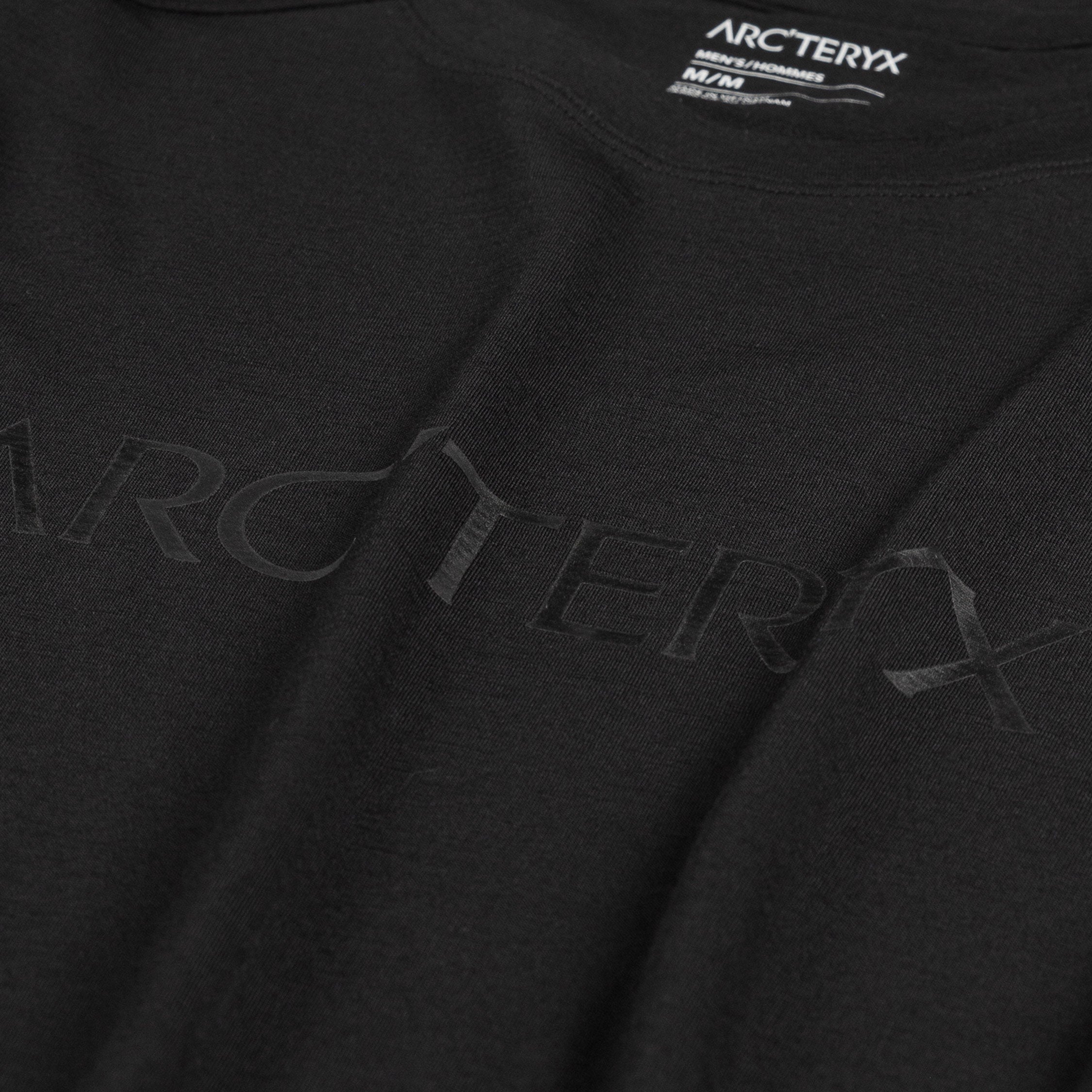 Arcteryx ionia arc'word merino t-shirt