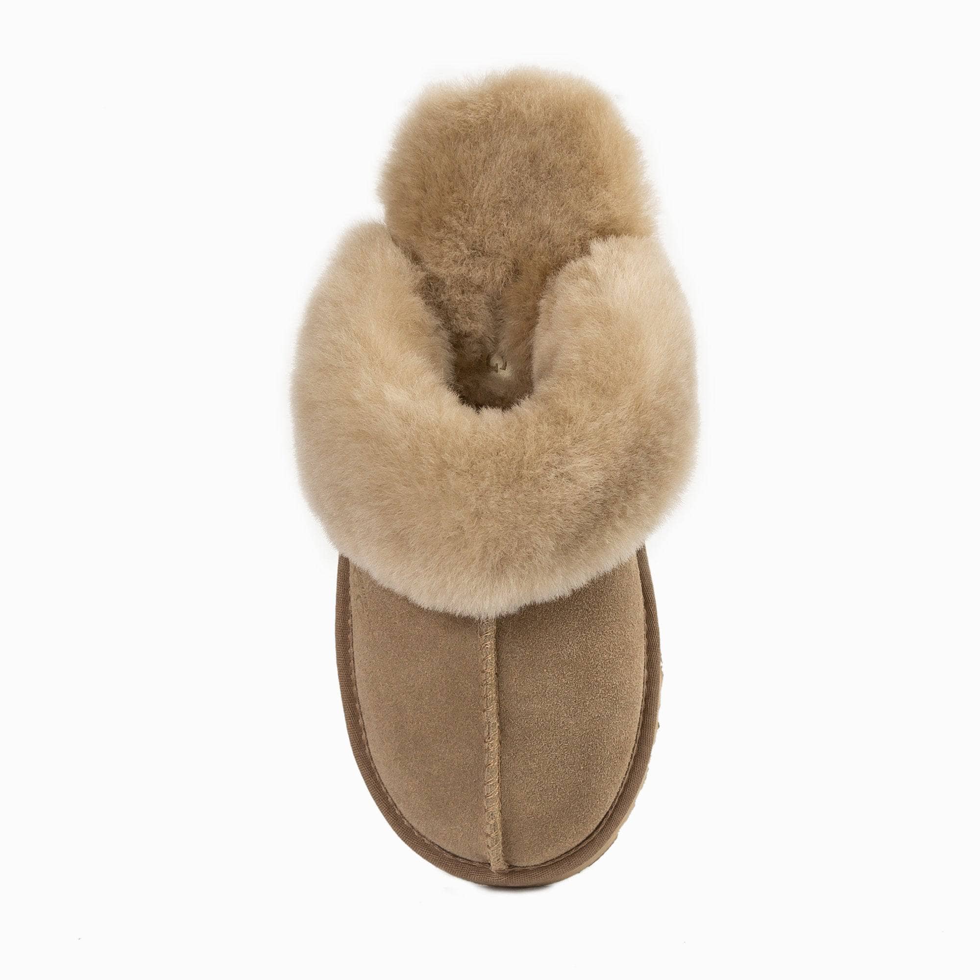 UGG JOAN DISTEX Scuffette Suede