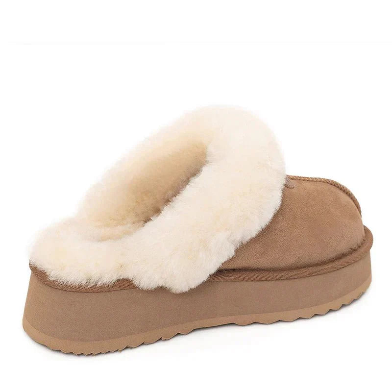 „Ugg Premium“ platformos įbrėžimas