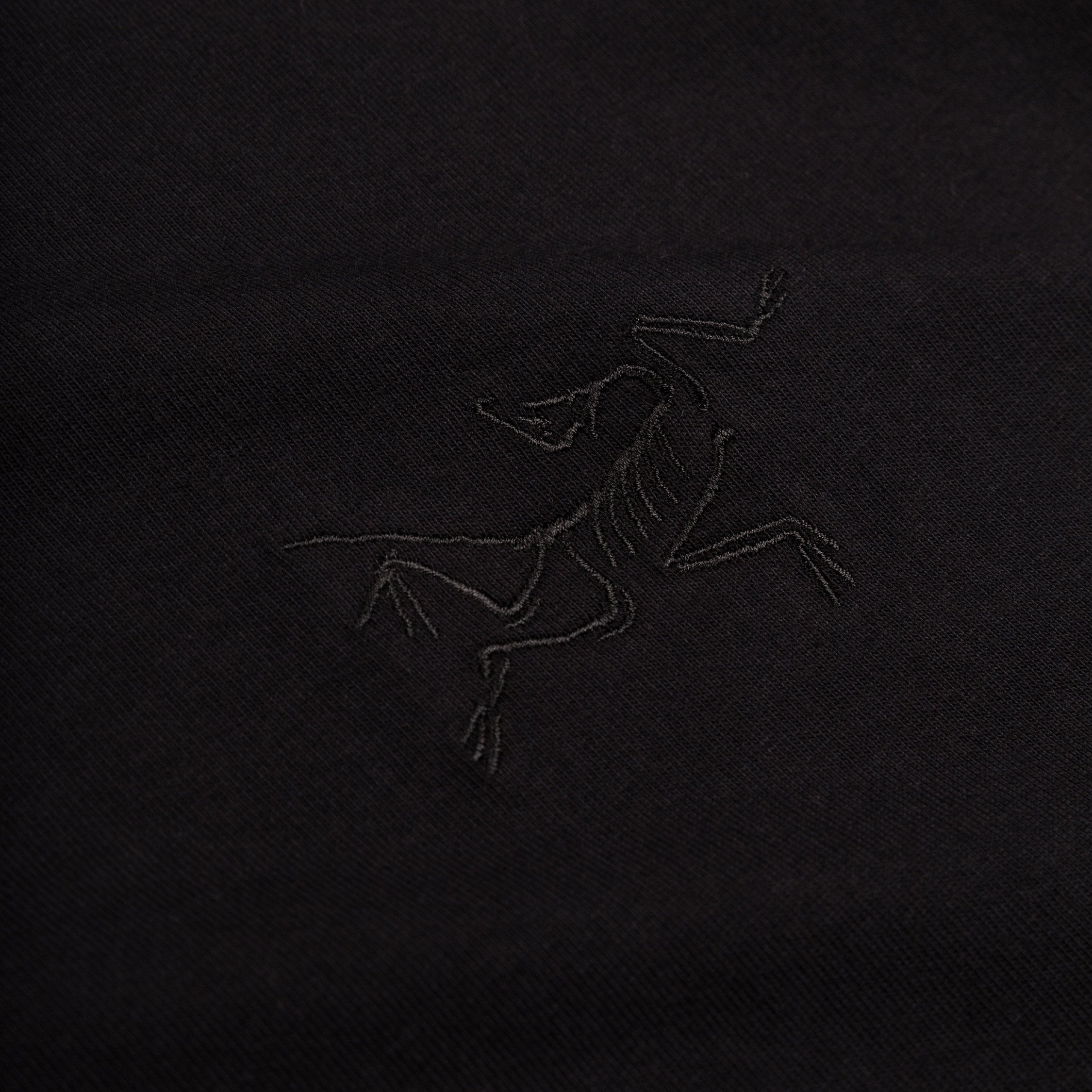 T-shirt di Arcteryx Wmns Kragg Cotton Little Bird Crew